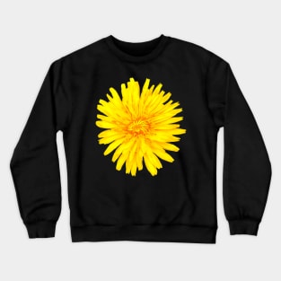 Dandelion Taraxacum officinale  brilliant yellow wildflower with shades of red Crewneck Sweatshirt